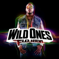 FLO RIDA - WILD ONES