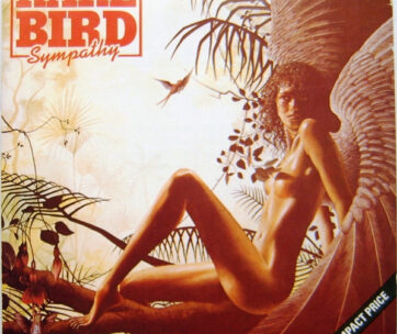 RARE BIRD - SYMPATHY