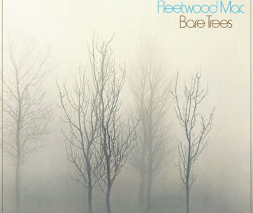 FLEETWOOD MAC - BARE TREES