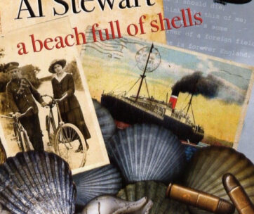 STEWART, AL - A BEACH FULL OF SHELL