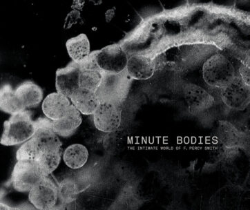 TINDERSTICKS - MINUTE BODIES: -LP+DVD-