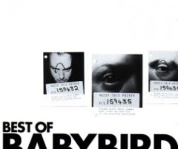 BABYBIRD - BEST OF