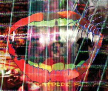 ANIMAL COLLECTIVE - CENTIPEDE HZ -DIGI-