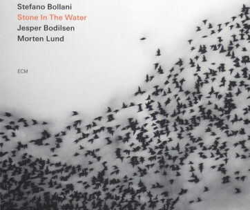 BOLLANI, STEFANO - STONE IN THE WATER