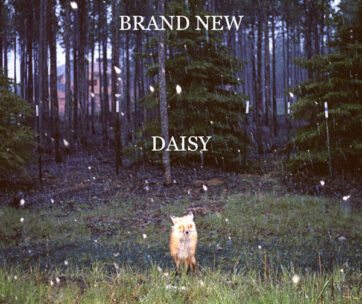 BRAND NEW - DAISY