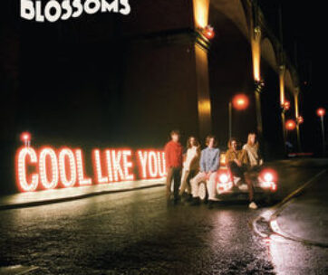 BLOSSOMS - COOL LIKE YOU