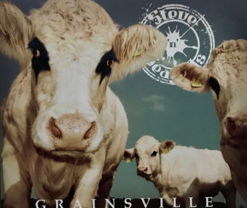 STEVE 'N' SEAGULLS - GRAINSVILLE