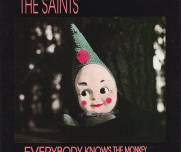 SAINTS - EVERYBODY KNOWS THE MONKEY