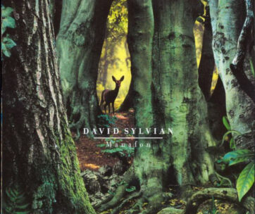 SYLVIAN, DAVID - MANAFON