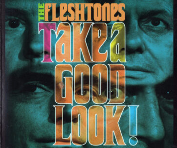 FLESHTONES - TAKE A GOOD LOOK