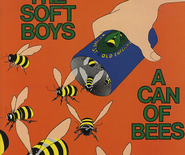 SOFT BOYS - A CAN OF BEES