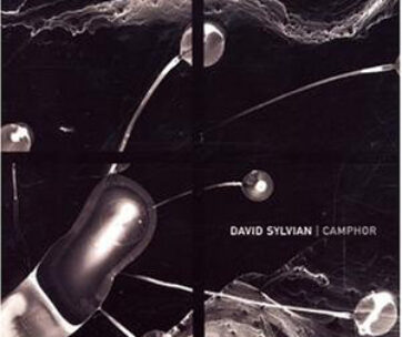 SYLVIAN, DAVID - CAMPHOR