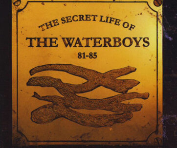 WATERBOYS - SECRET LIFE OF 81-85