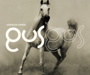 GUS GUS - ARABIAN HORSE